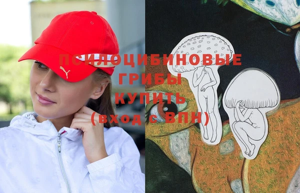 ECSTASY Лихославль