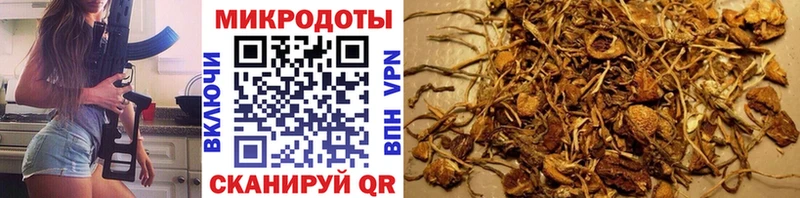 Купить  Отрадная  Псилоцибиновые грибы мицелий 